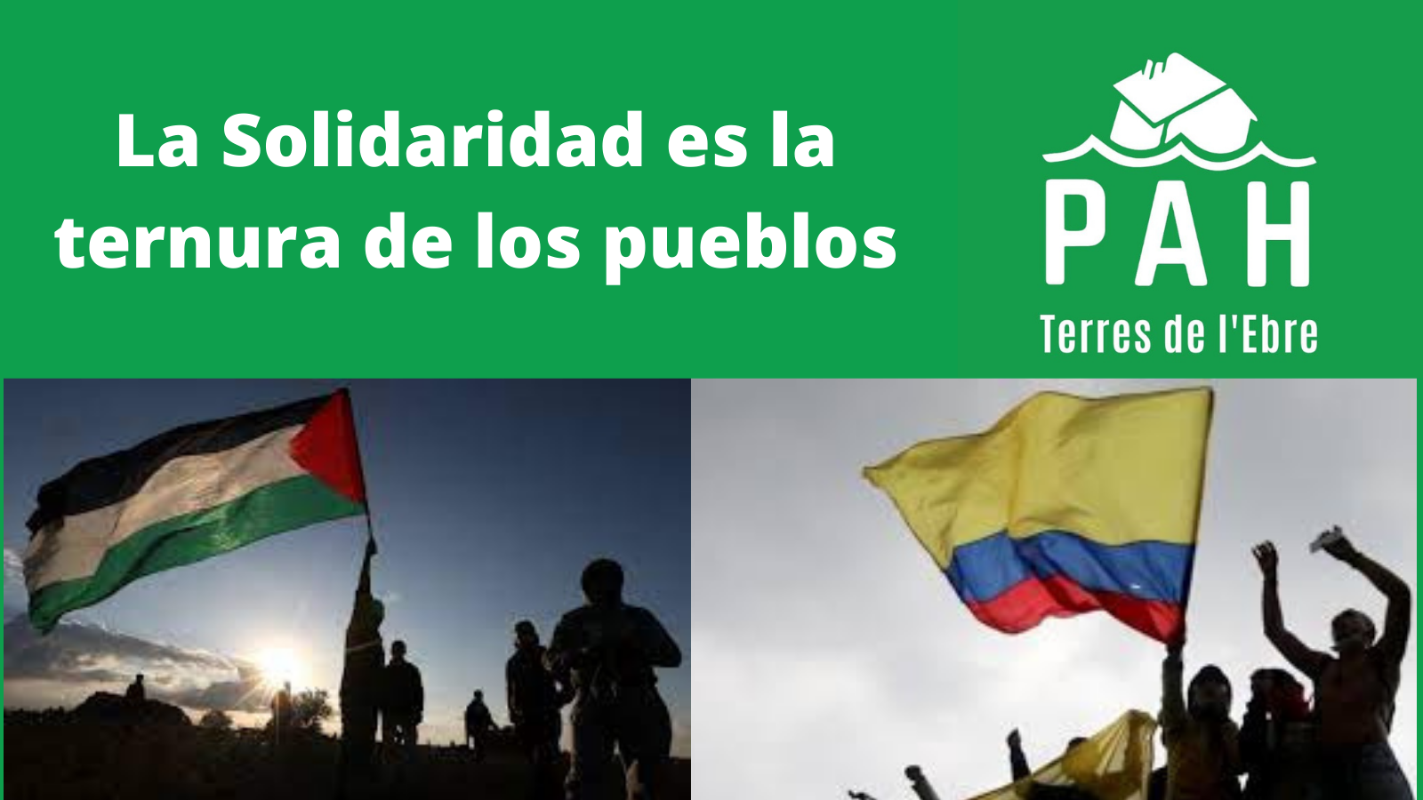 Lee más sobre el artículo Apoyo absoluto a Palestina y Colombia